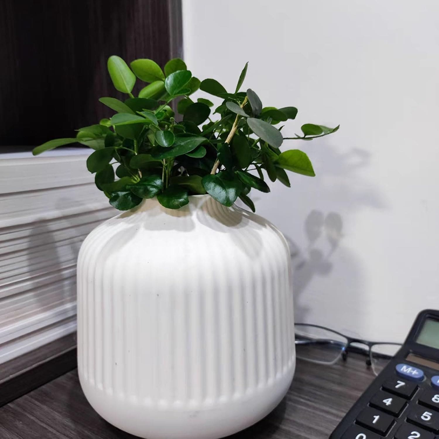 White Ceramic Vase for Flowers