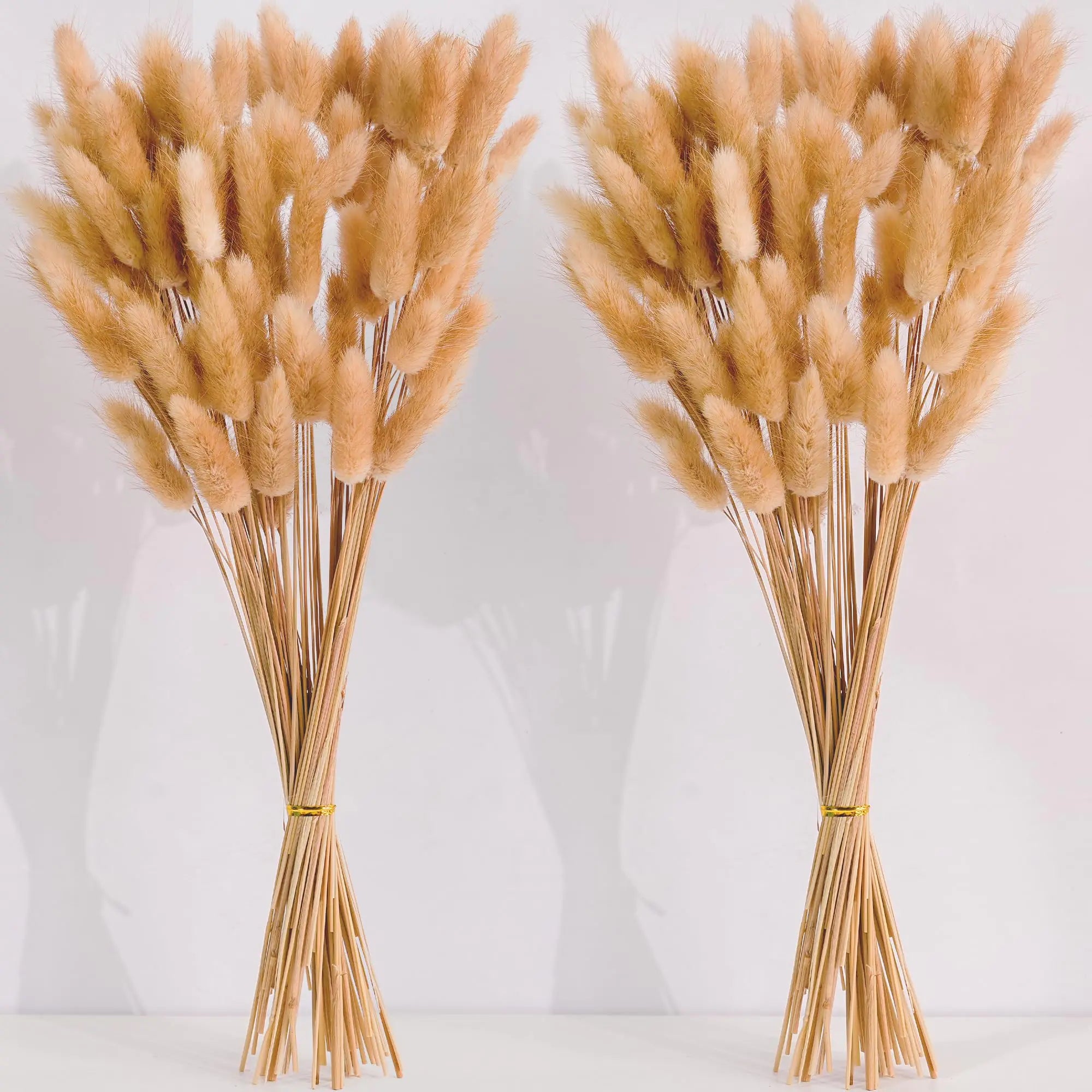 Dried Pampas Grass - 120 Pc