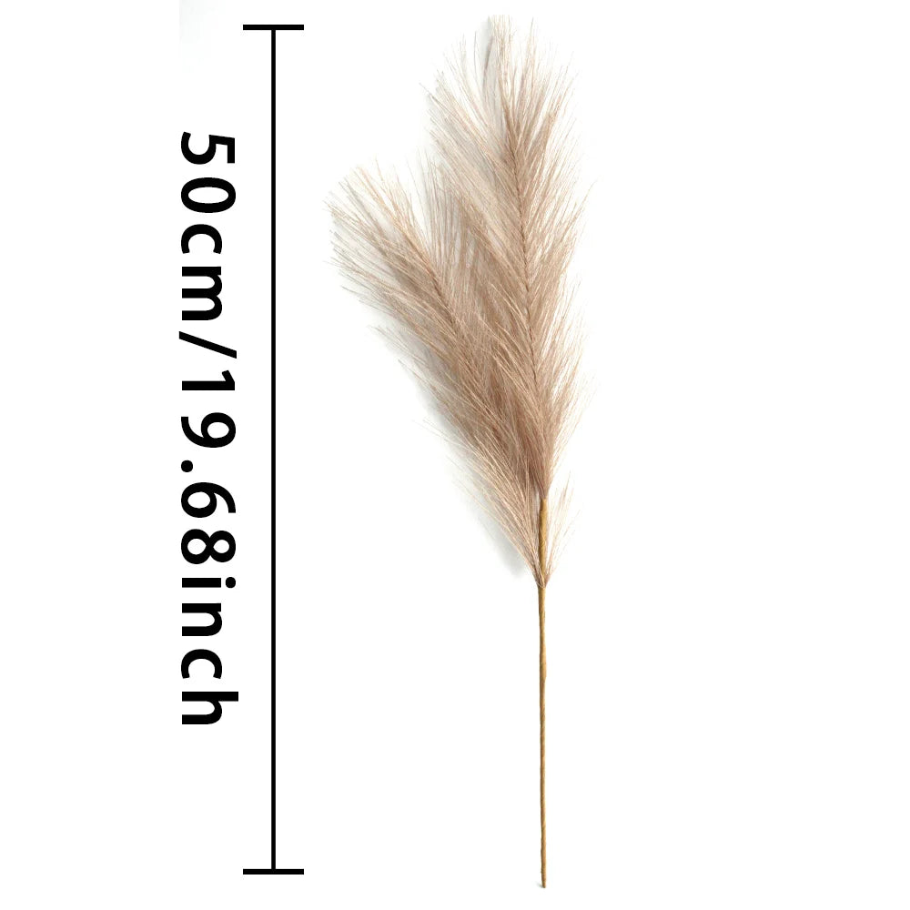 Pampas Grass - 6PCS