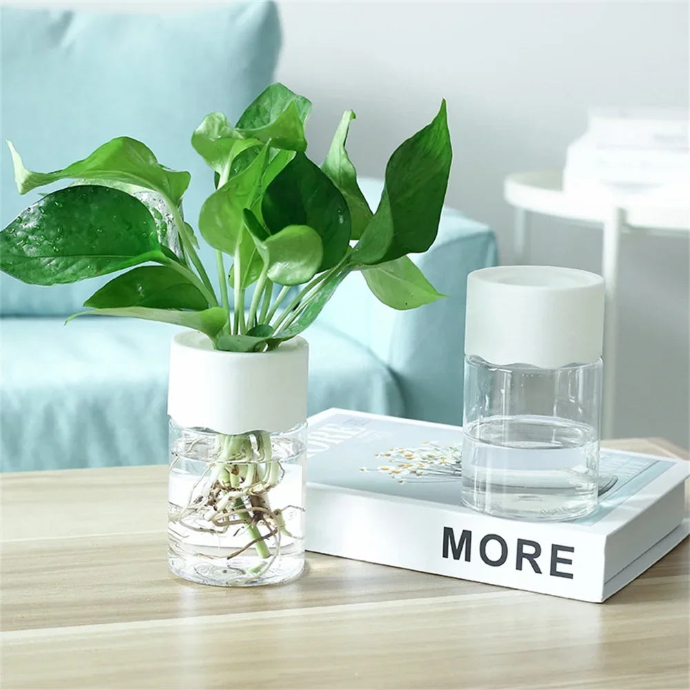 Mini Hydroponic Flower Pot - 1 PC