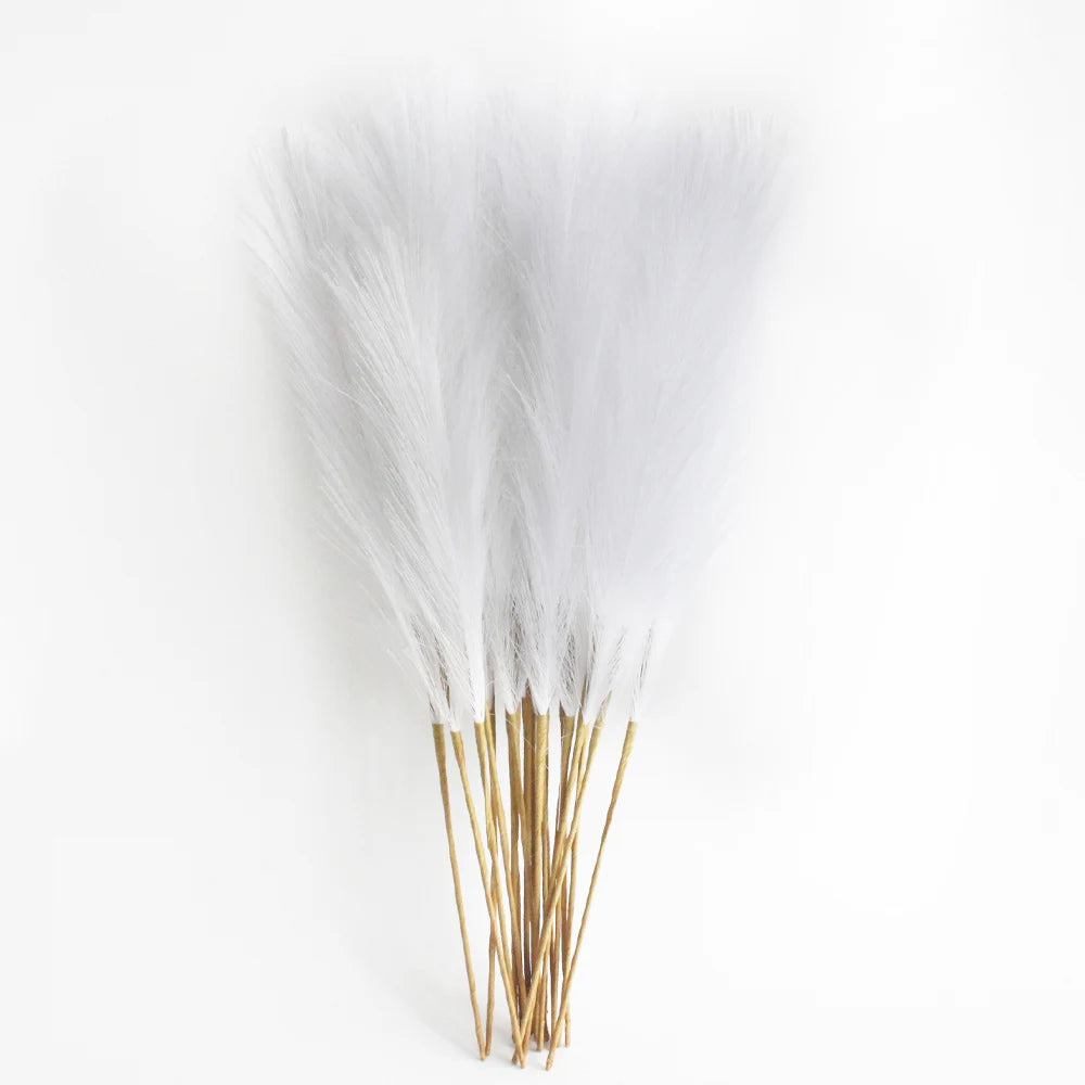 Pampas Grass - 6PCS