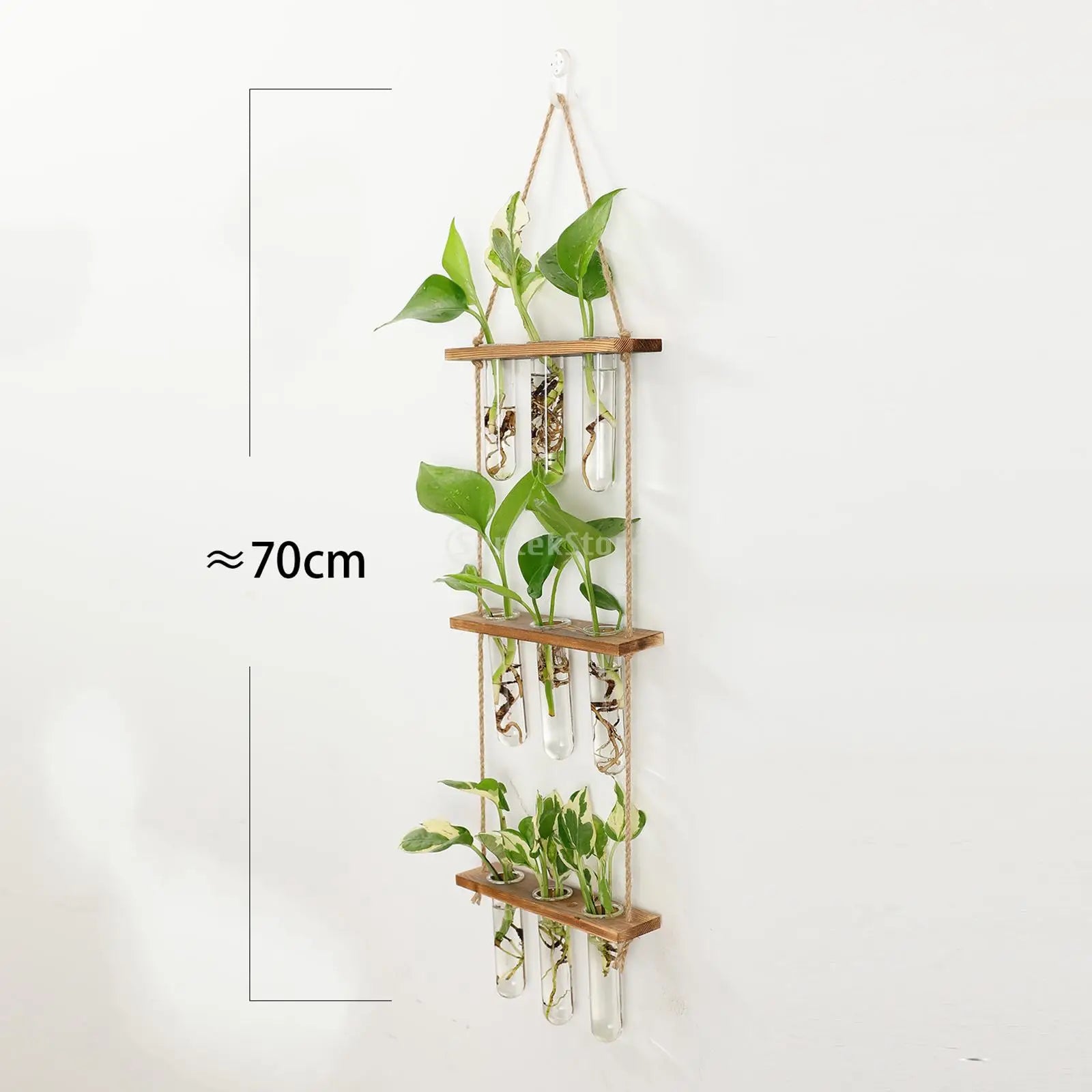 Wall hanging Glass Planter