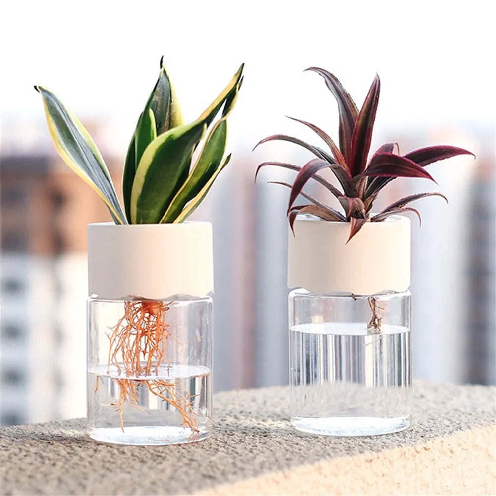 Mini Hydroponic Flower Pot - 1 PC