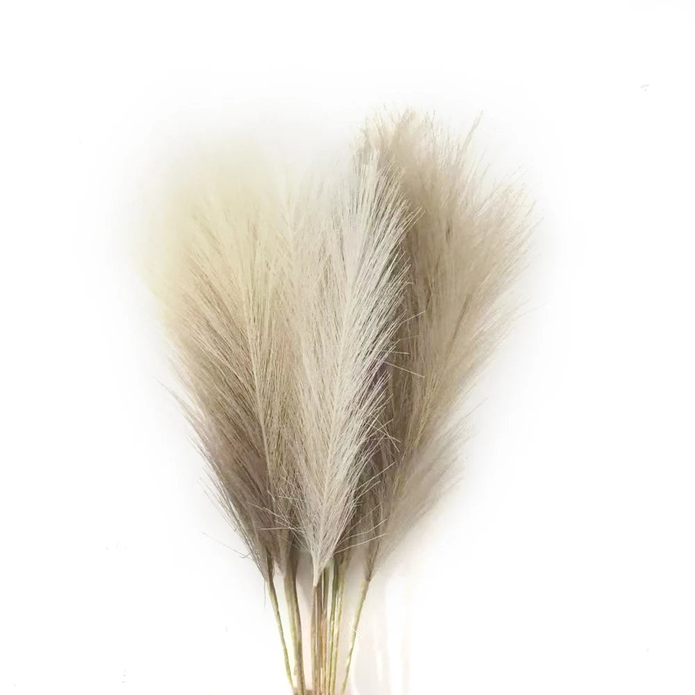 Pampas Grass - 6PCS