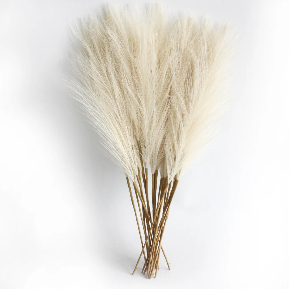Pampas Grass - 6PCS