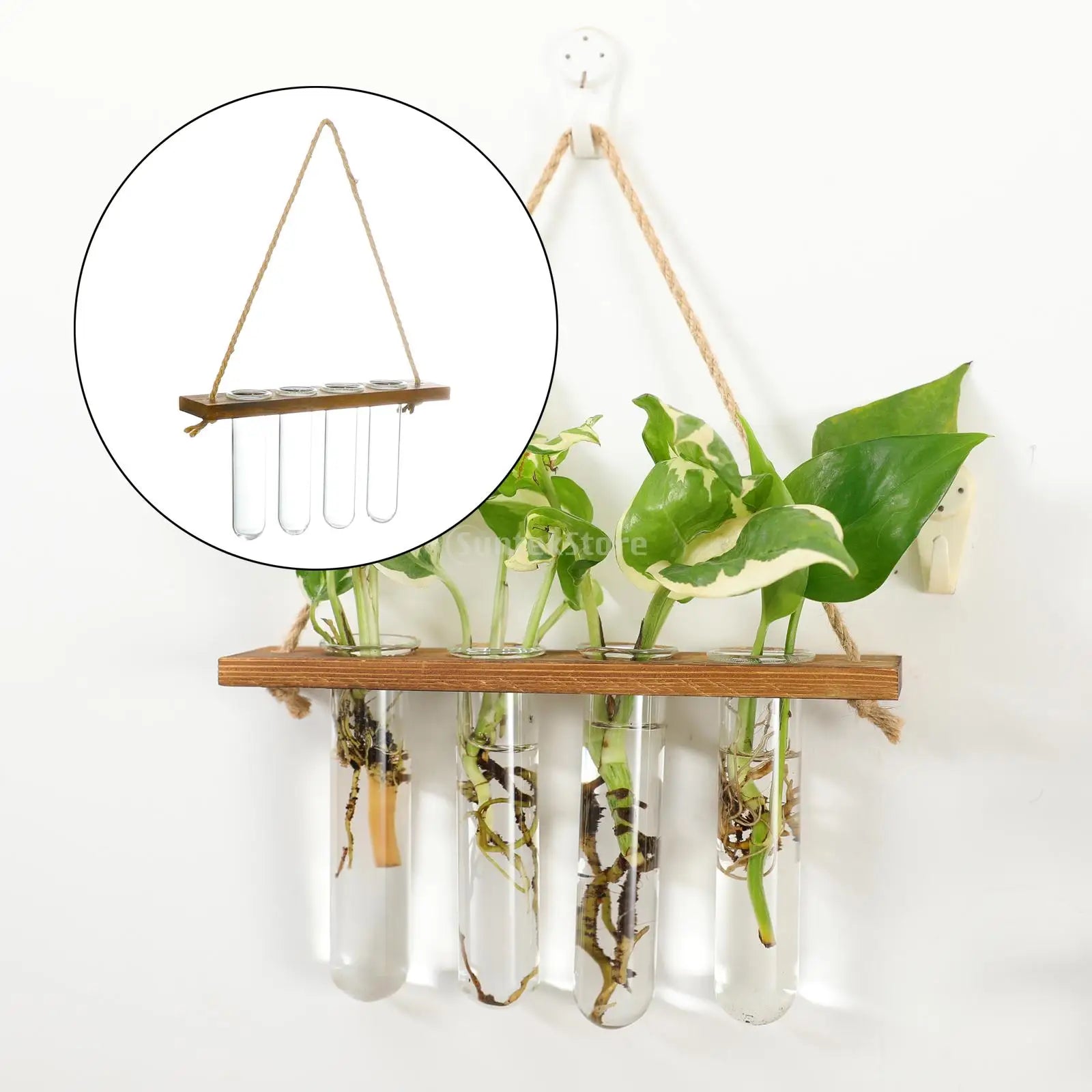 Wall hanging Glass Planter