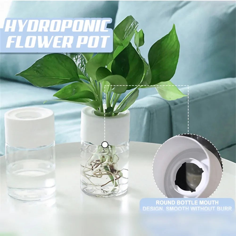 Mini Hydroponic Flower Pot - 1 PC