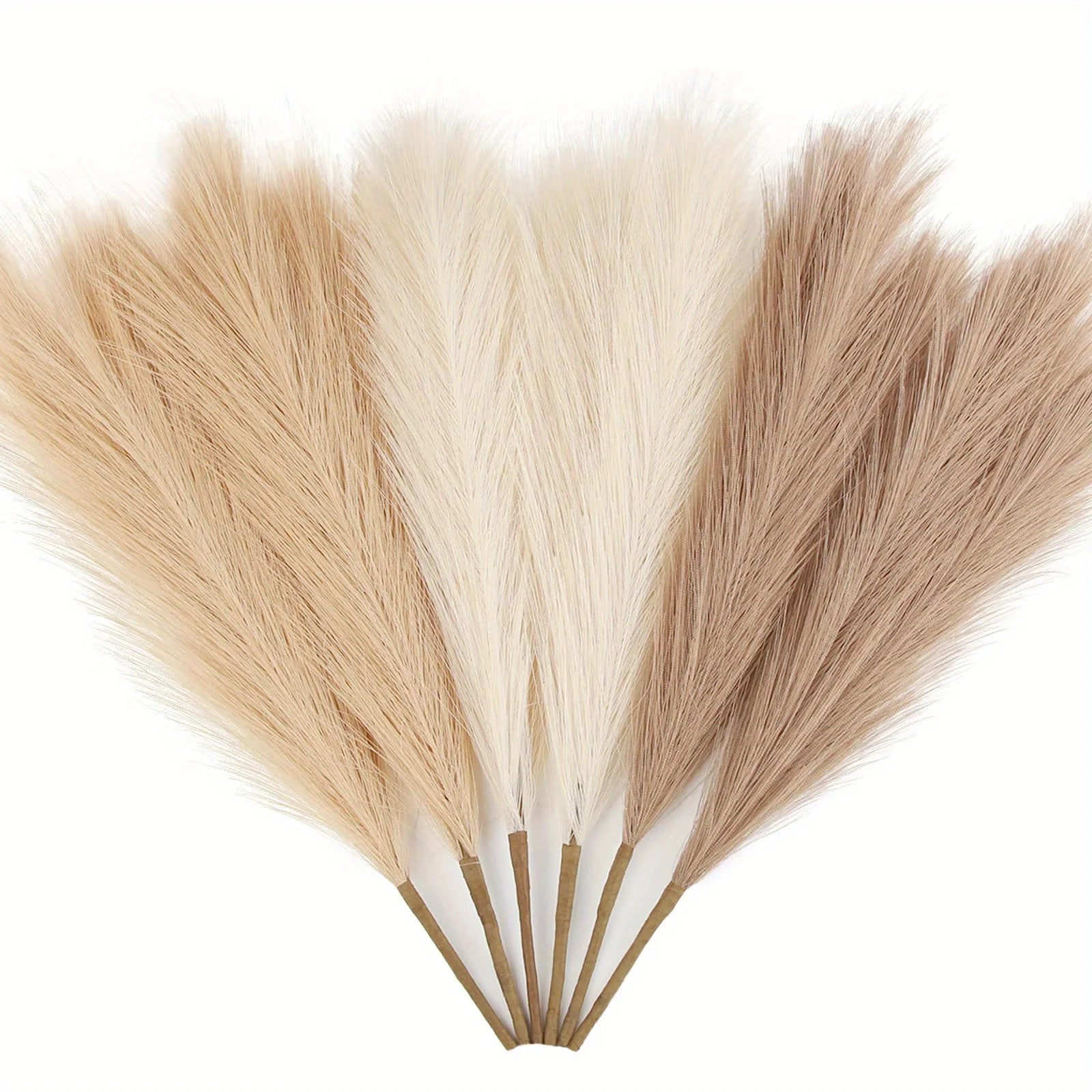 Pampas Grass - 6PCS