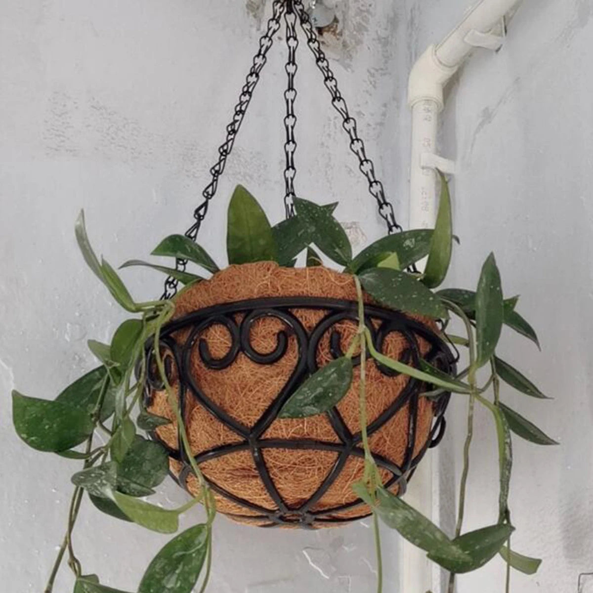 Hanging Basket Flowerpot