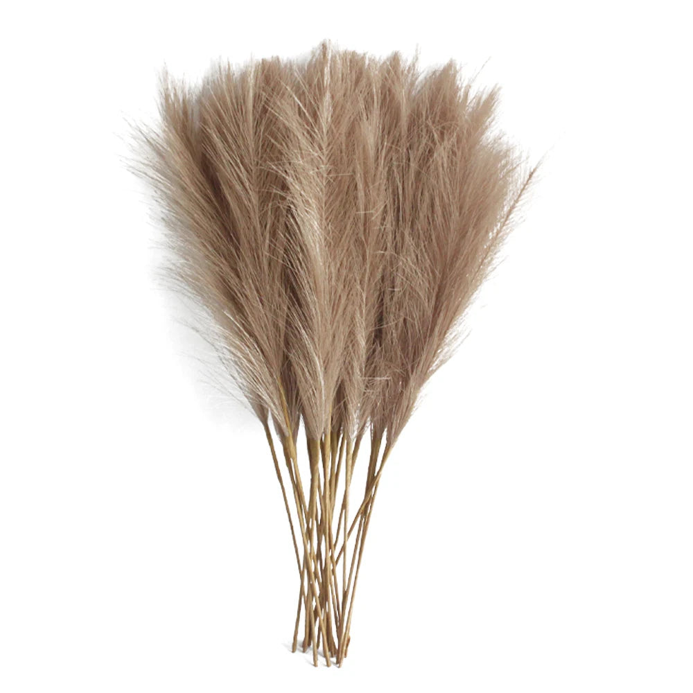 Pampas Grass - 6PCS