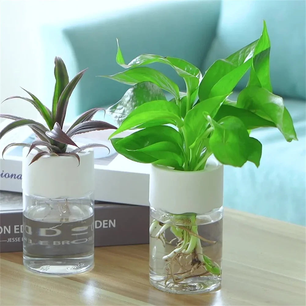 Mini Hydroponic Flower Pot - 1 PC