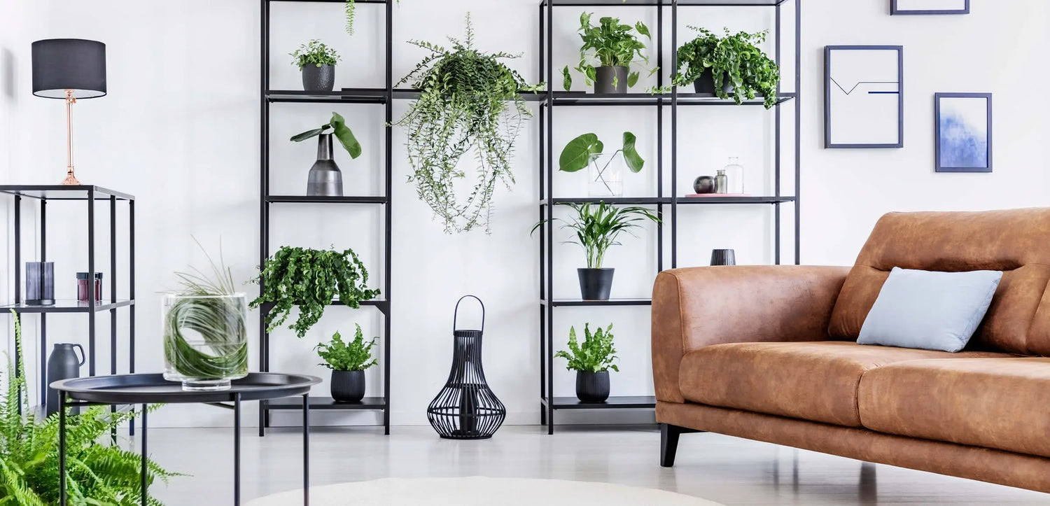 Plant Stands + Hangers