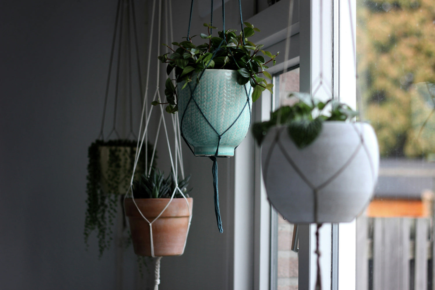 A collection of stylish hanging planters with lush green plants suspended by macramé plant hangers near a window, adding a modern and natural touch to the interior decor.
