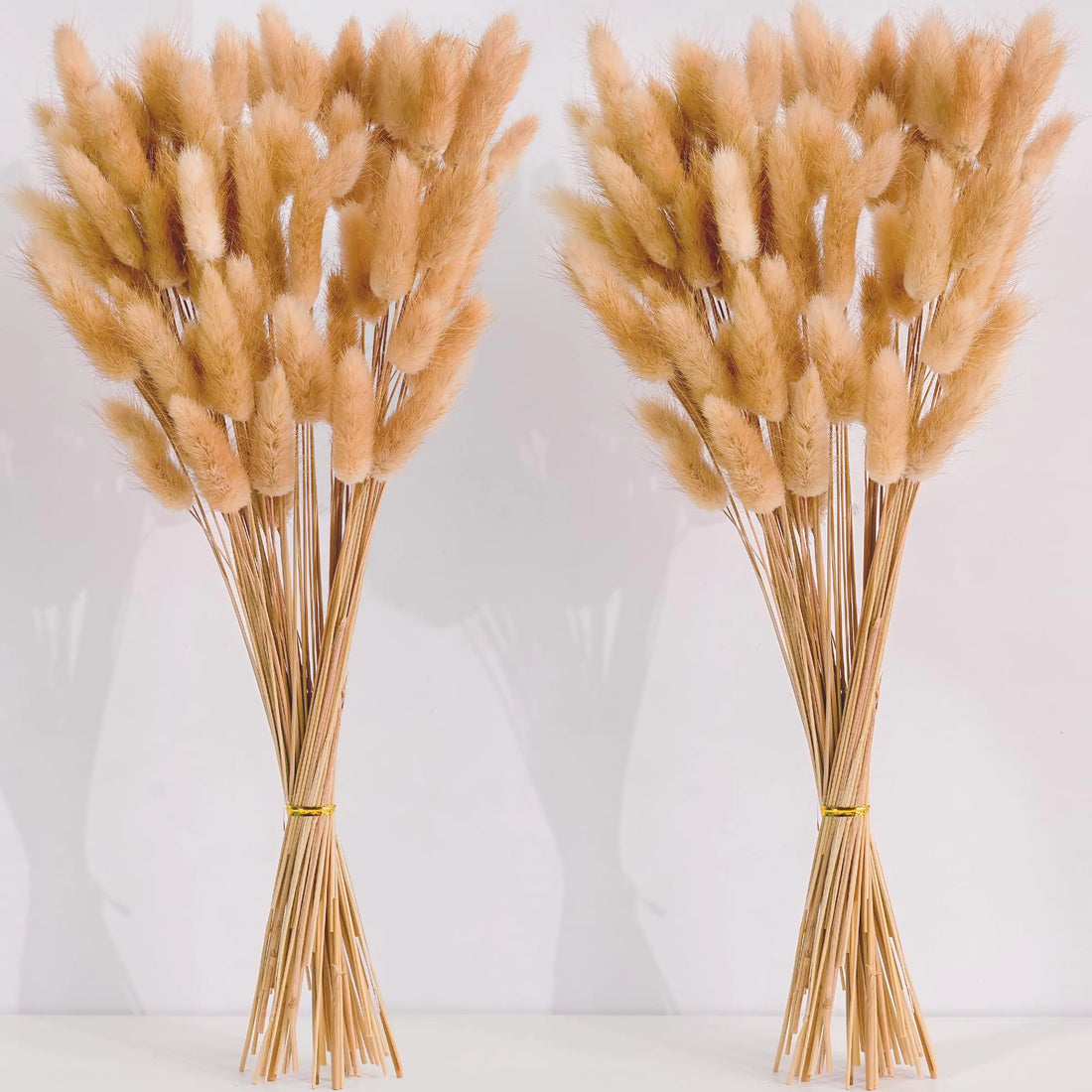 Dried Pampas Grass - 120 Pc