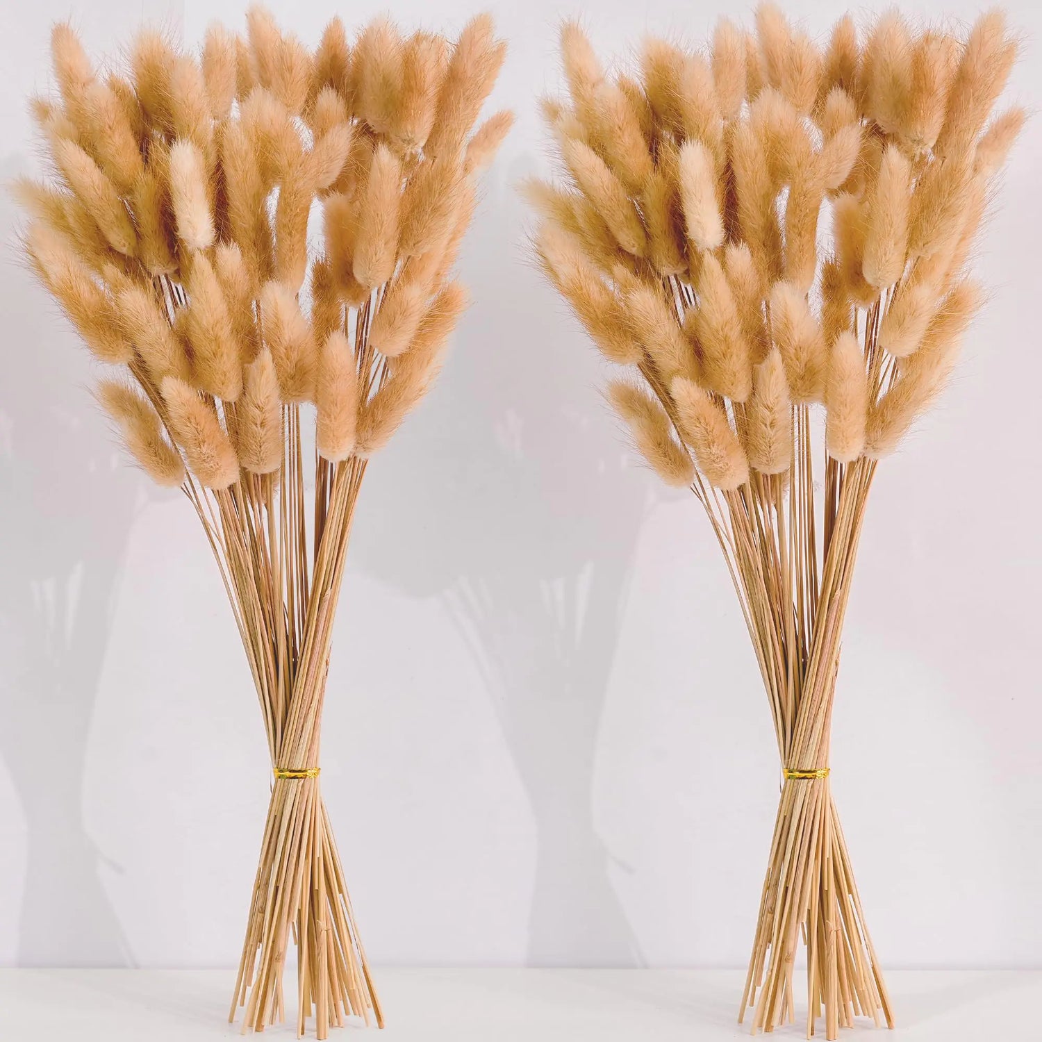 Dried Pampas Grass - 120 Pc
