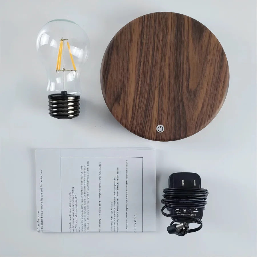 Magnetic Levitating Lamp