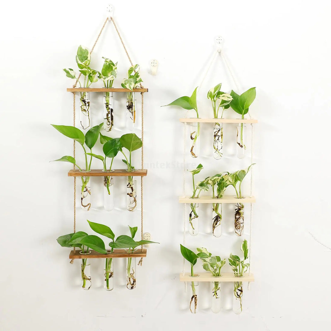 Wall hanging Glass Planter